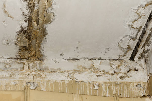 24/7 water damage repair in Gore, OK